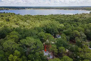 125 E Lemon St, Melrose, FL 32666 - Photo 29