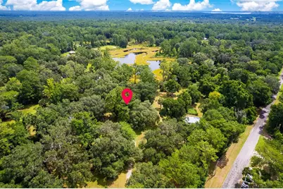 8465 NW 186th Street, Reddick, FL 32686 - Photo 35