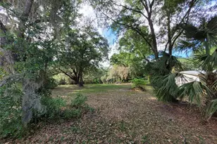 8465 NW 186th St, Reddick, FL 32686 - Photo 55