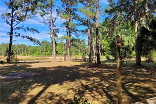 8465 NW 186th St, Reddick, FL 32686 - Photo 57