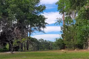 8465 NW 186th St, Reddick, FL 32686 - Photo 43