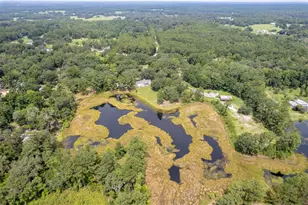 8465 NW 186th St, Reddick, FL 32686 - Photo 45