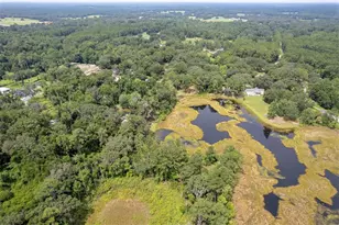 8465 NW 186th St, Reddick, FL 32686 - Photo 41