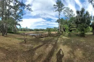 8465 NW 186th St, Reddick, FL 32686 - Photo 39