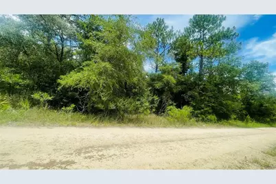 Lot 487 NE 102nd Court, Bronson, FL 32621 - Photo 3