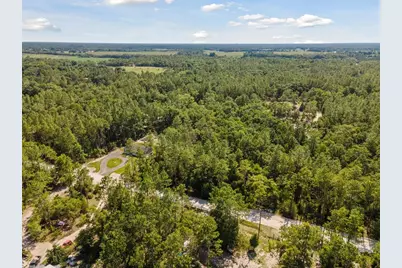 Tbd NW 16th Avenue, Bell, FL 32619 - Photo 3