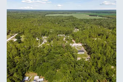 Tbd NW 16th Avenue, Bell, FL 32619 - Photo 5