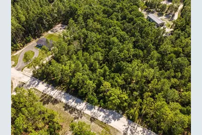 Tbd NW 16th Avenue, Bell, FL 32619 - Photo 9