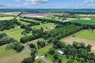 631 NW 172nd Ln, Trenton, FL 32693 - Photo 79