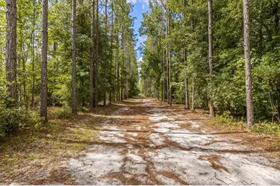 631 NW 172nd Lane, Trenton, FL 32693 - Photo 73