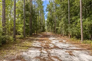 631 NW 172nd Ln, Trenton, FL 32693 - Photo 73