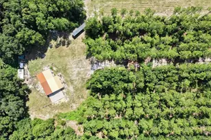 631 NW 172nd Ln, Trenton, FL 32693 - Photo 85