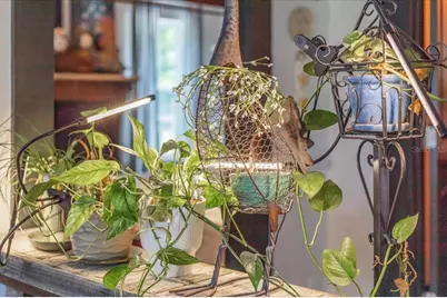 631 NW 172nd Lane, Trenton, FL 32693 - Photo 5