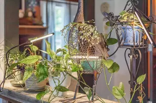 631 NW 172nd Ln, Trenton, FL 32693 - Photo 5