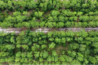 631 NW 172nd Lane, Trenton, FL 32693 - Photo 77