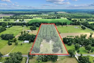 631 NW 172nd Ln, Trenton, FL 32693 - Photo 87