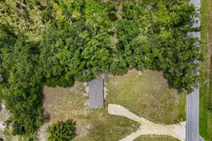 7321 NW Co Rd 345, Chiefland, FL 32626 - Photo 29