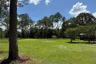 8421 SW 137th Ave, Archer, FL 32618 - Photo 43