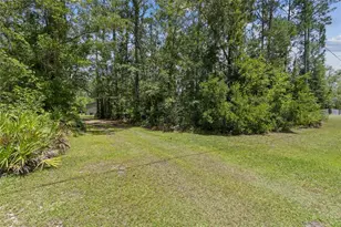 3022 NW 128 Rd, Gainesville, FL 32609 - Photo 29