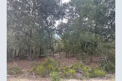 Ne 85th St, Bronson, FL 32621 - Photo 11