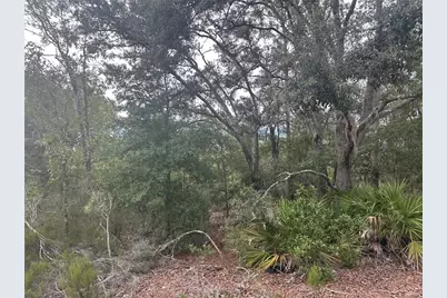 Ne 85th St, Bronson, FL 32621 - Photo 9