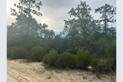 Ne 85th St, Bronson, FL 32621 - Photo 13