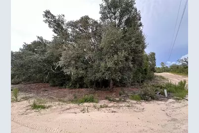 Ne 85th St, Bronson, FL 32621 - Photo 7