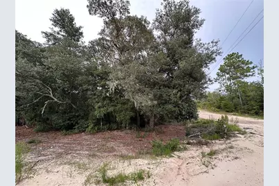 Ne 85th St, Bronson, FL 32621 - Photo 5