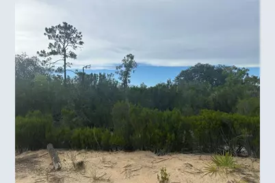 Ne 85th St, Bronson, FL 32621 - Photo 15