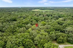 14825 SW 83rd Terrace, Archer, FL 32618 - Photo 31