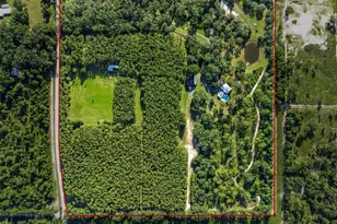 3771 184th St, Wellborn, FL 32094 - Photo 51
