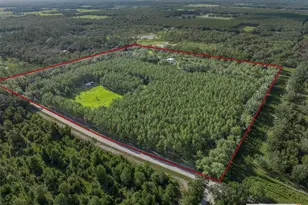 3771 184th St, Wellborn, FL 32094 - Photo 53