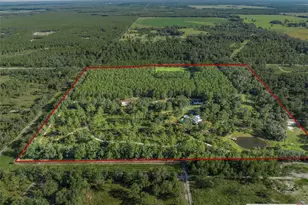 3771 184th St, Wellborn, FL 32094 - Photo 55