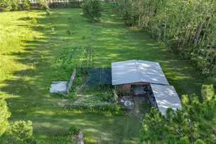 3771 184th St, Wellborn, FL 32094 - Photo 61