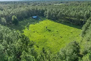 3771 184th St, Wellborn, FL 32094 - Photo 59