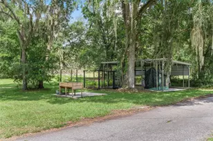 3771 184th St, Wellborn, FL 32094 - Photo 13