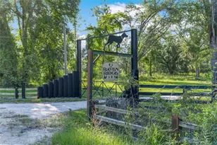3771 184th St, Wellborn, FL 32094 - Photo 45