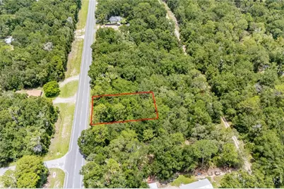 000 NE State Road 121, Williston, FL 32696 - Photo 3