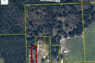 13273 SW Co Rd 227, Starke, FL 32091 - Photo 31