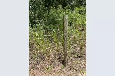 6850 SE 88 Lane, Trenton, FL 32693 - Photo 51