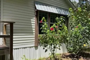 6850 SE 88th Ln, Trenton, FL 32693 - Photo 41