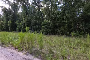 280 Terrace, Branford, FL 32008 - Photo 1