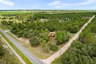 50 NE 131st Terrace, Williston, FL 32696 - Photo 5