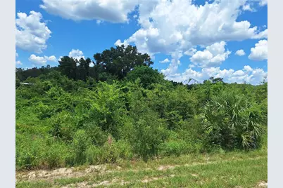 Tbd SE Hwy. 19, Old Town, FL 32680 - Photo 3