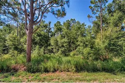 000 NE 83rd Lane, Bronson, FL 32621 - Photo 7