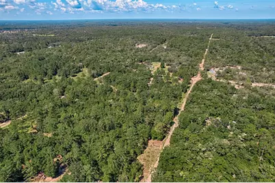 000 NE 83rd Lane, Bronson, FL 32621 - Photo 5