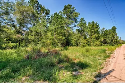 Tbd NE 83rd Lane, Bronson, FL 32621 - Photo 9