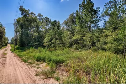 Tbd NE 83rd Lane, Bronson, FL 32621 - Photo 7