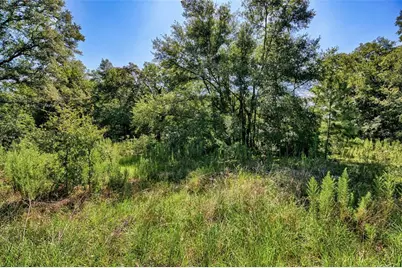 Ne 82nd Place, Bronson, FL 32621 - Photo 9