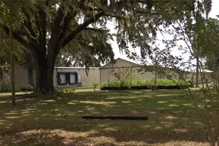 18811 SE 243rd St, Hawthorne, FL 32640 - Photo 7